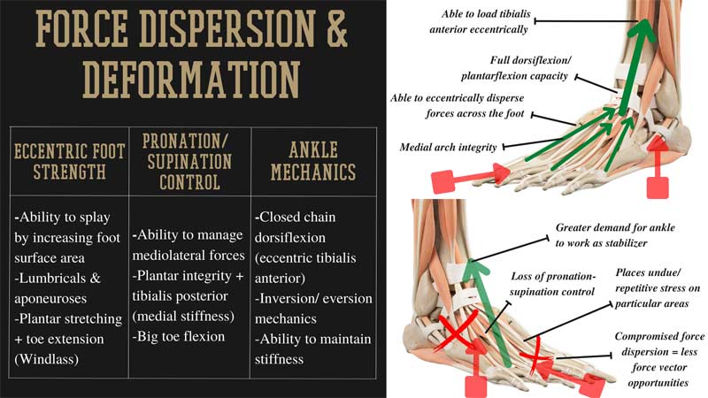 Force Dispersion