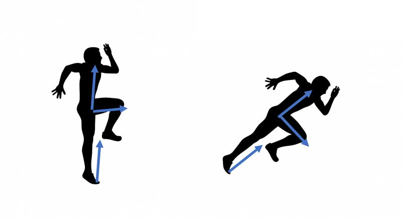Force Vector