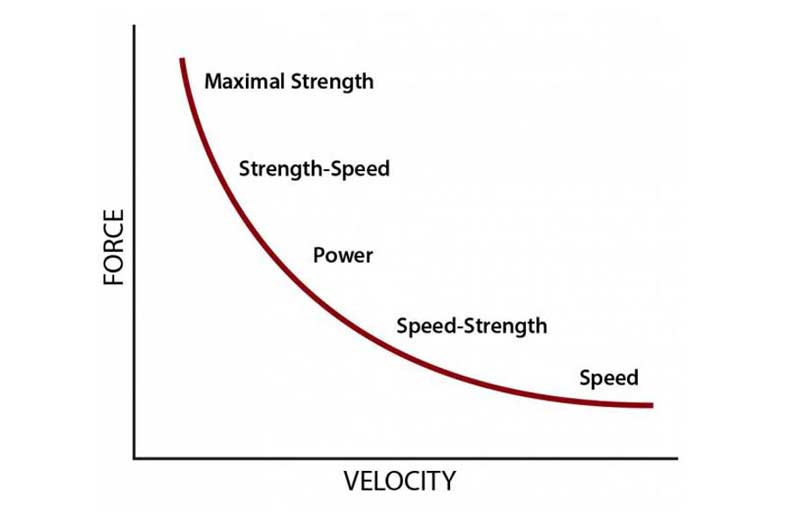 Force Velocity Curve