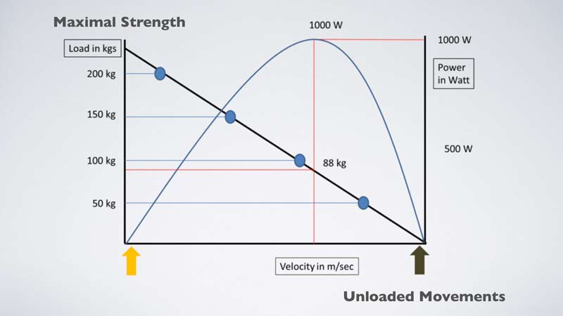 Force Velocity Curve