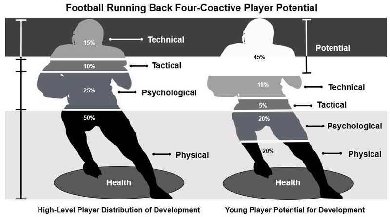 Four Coactive Potential
