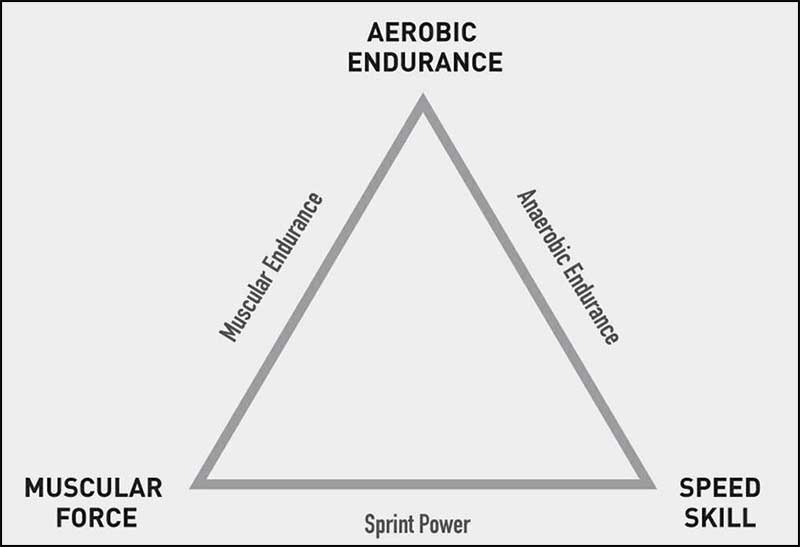 Friel's Training Triad