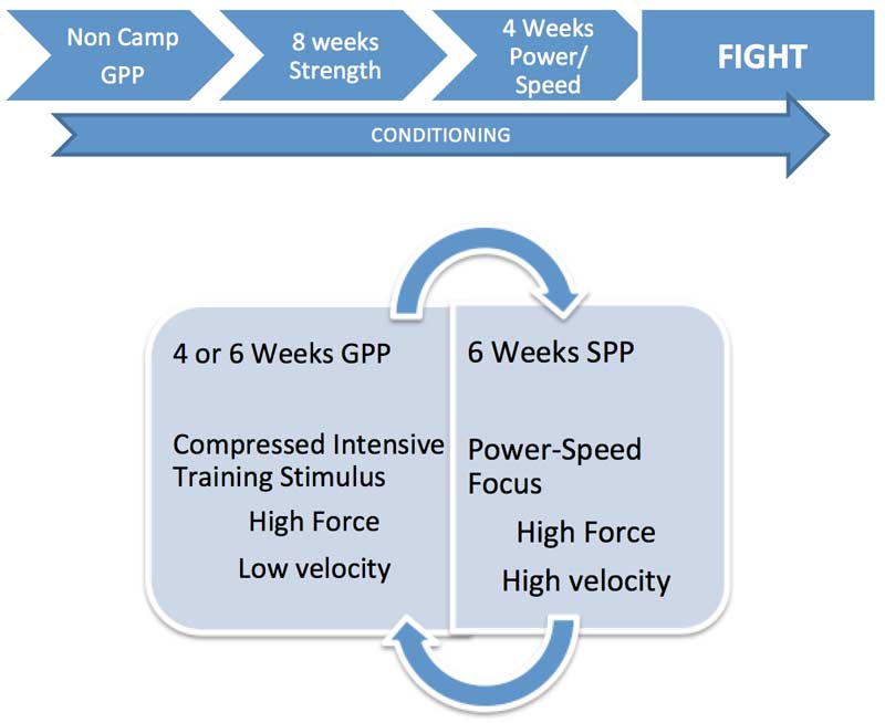 GPP MMA