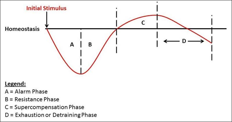 General Adaption Syndrome