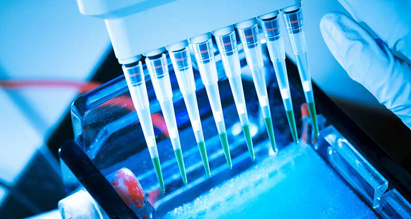 Genetic Sequencing