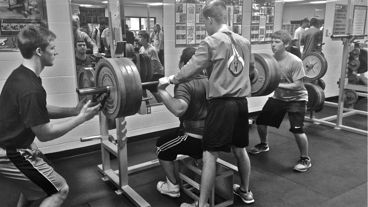 BFS Box Squat|Goss Table|Frenn Hammer|Cole Lifting|Paul Wrenn|BFS Clinic|BFS Clinic|Padded Box Squat