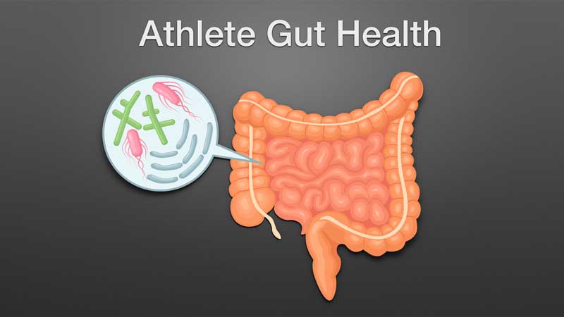 Gut Health
