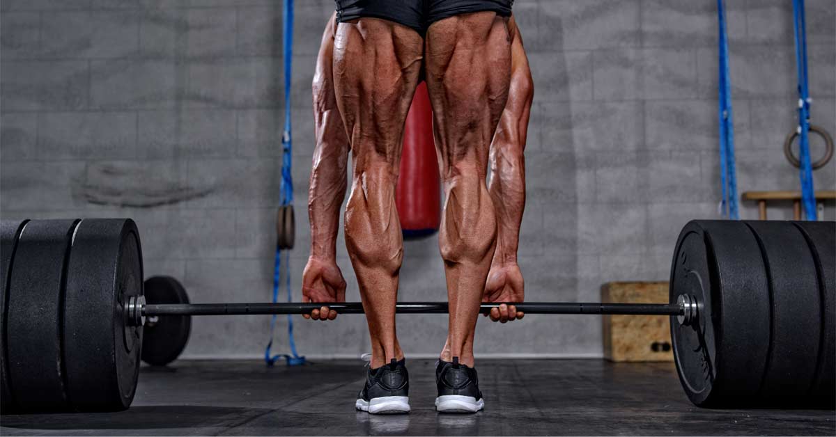 Hamstring Lift|Hamstring Chart|Back Hyper