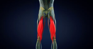 Hamstring Diagram|Nordbord Ankle Hooks|Nordboard Underside|Nordbord Sideview|Nordbord Hamstring Curl|Nordbord Software Platform|Vald Performance Dashboard|Nordbord CSV File Export|Nordbord Excel File|Band-Assisted Nordic Curl