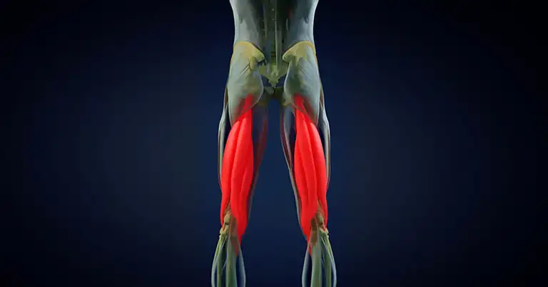 Hamstring Diagram|Nordbord Ankle Hooks|Nordboard Underside|Nordbord Sideview|Nordbord Hamstring Curl|Nordbord Software Platform|Vald Performance Dashboard|Nordbord CSV File Export|Nordbord Excel File|Band-Assisted Nordic Curl