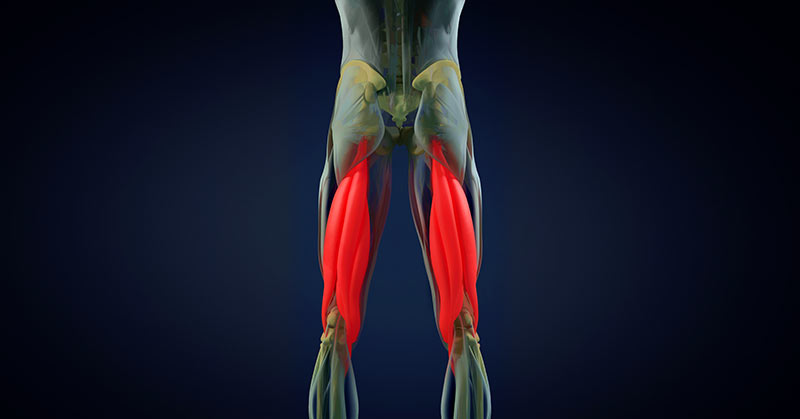 Hamstring Diagram|Nordbord Ankle Hooks|Nordboard Underside|Nordbord Sideview|Nordbord Hamstring Curl|Nordbord Software Platform|Vald Performance Dashboard|Nordbord CSV File Export|Nordbord Excel File|Band-Assisted Nordic Curl