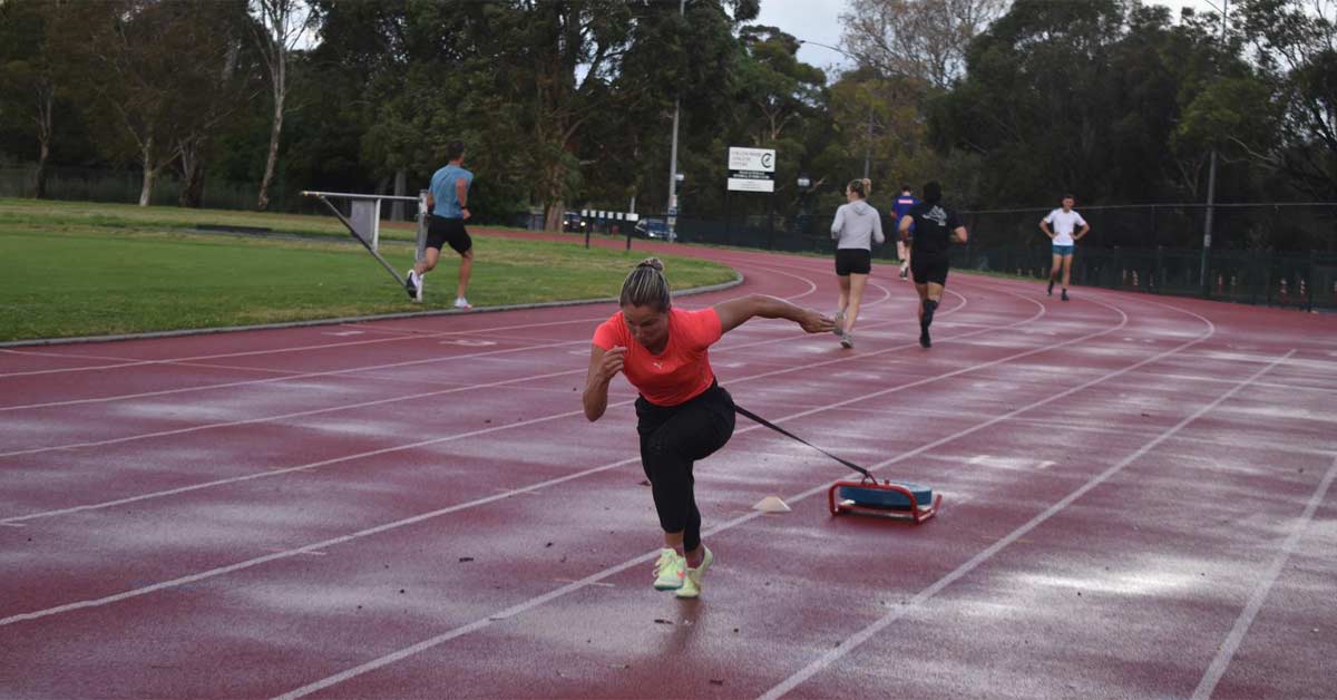 Hana Basic Sled|Olympics