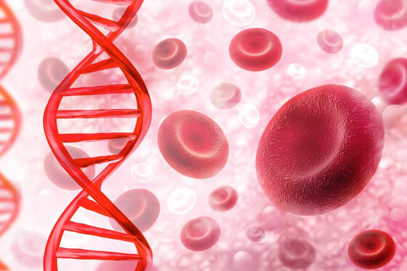 Hemoglobin_Genetics_RBC