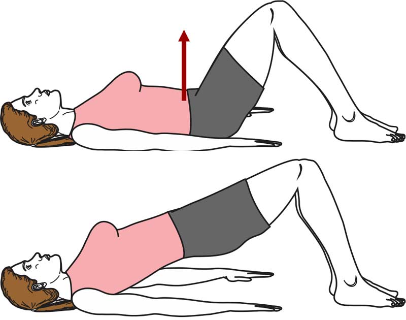 Hip Thrust Rehab