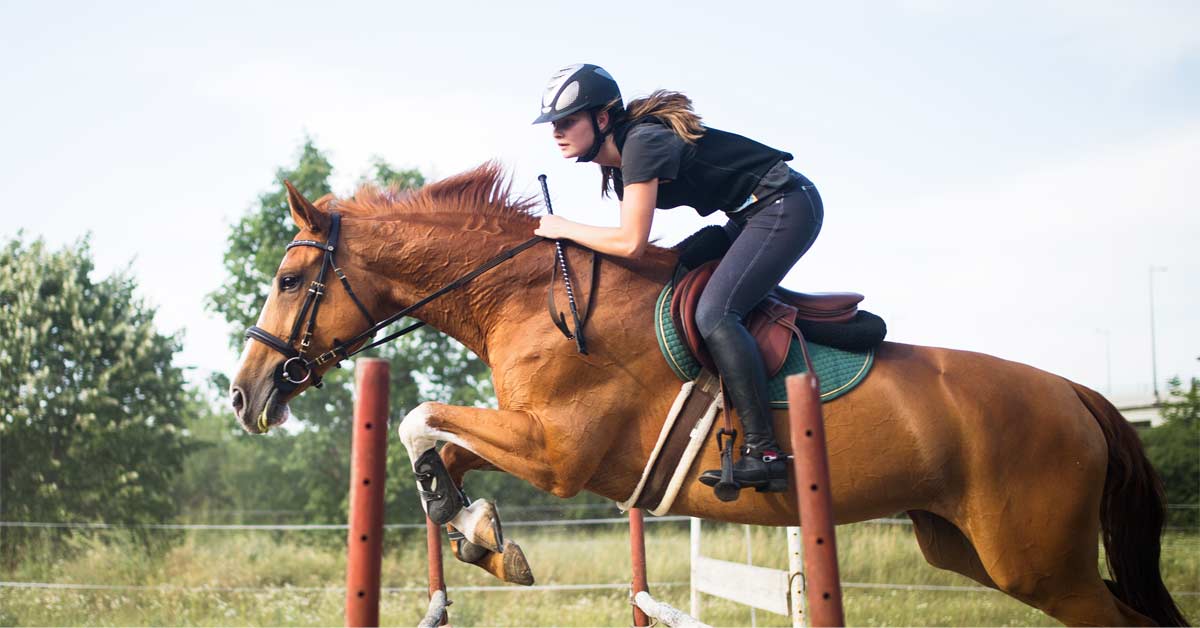 Horse Speed