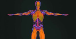 Human Body Heat Map|Thermogram of ACL Injury|ThermoHuman Chart|ThermoHuman Virtualization