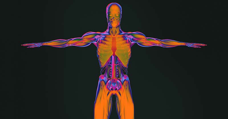 Human Body Heat Map|Thermogram of ACL Injury|ThermoHuman Chart|ThermoHuman Virtualization