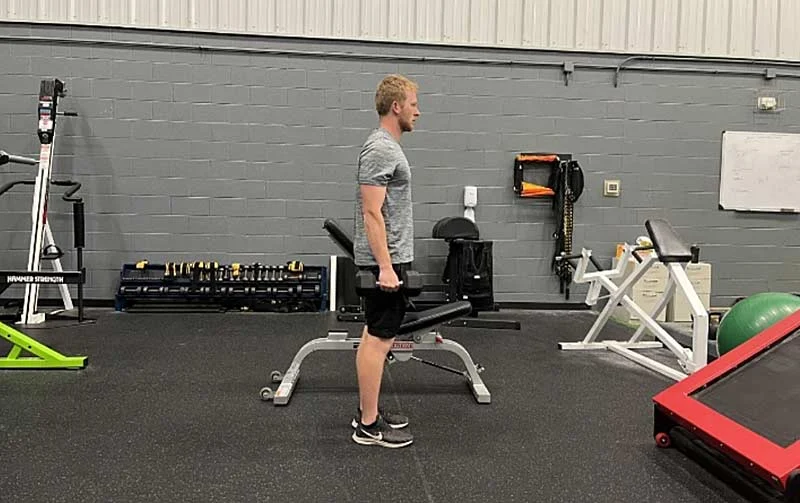 Biceps