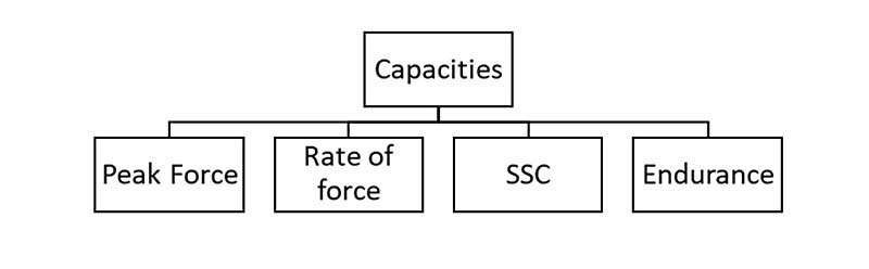 Capacities