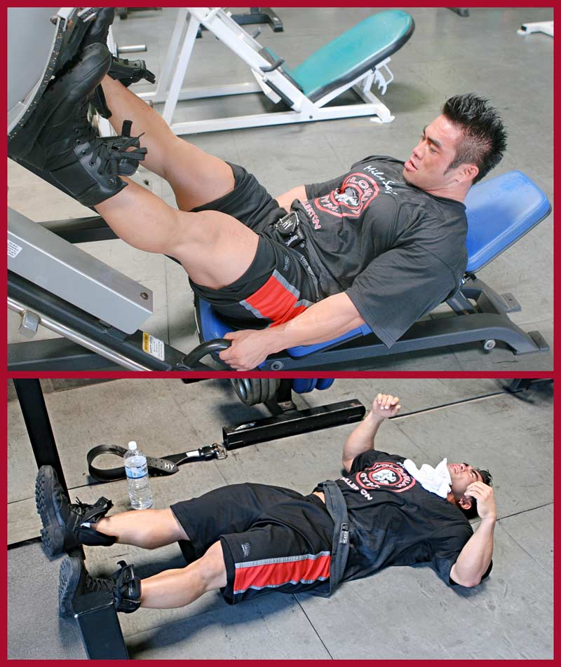 Leg Press