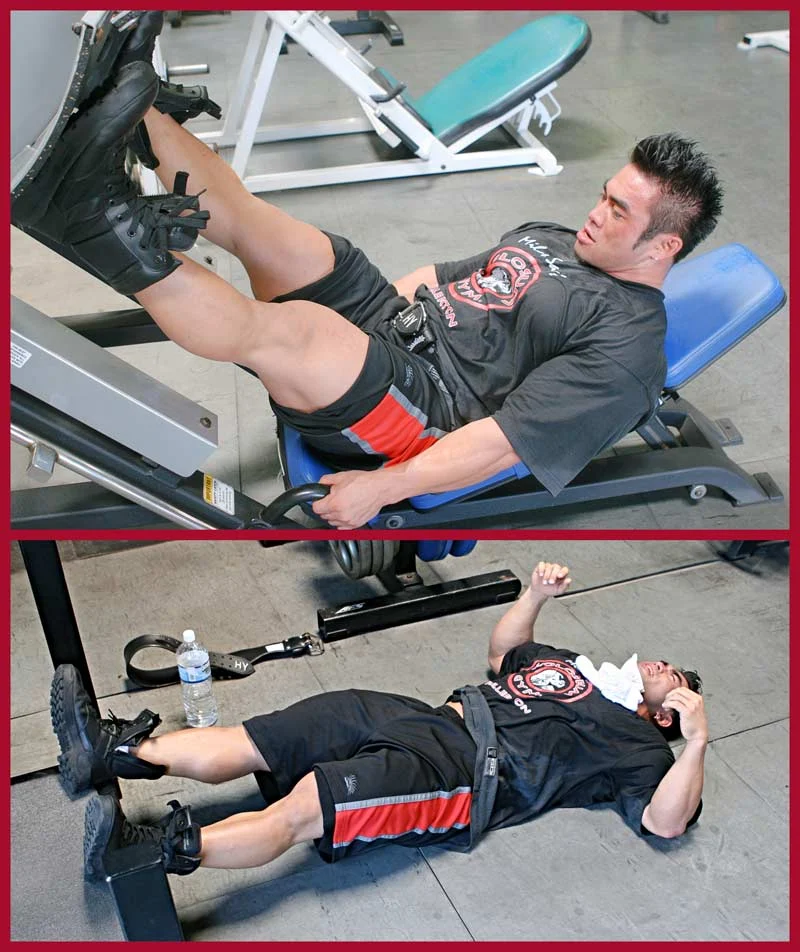 Leg Press