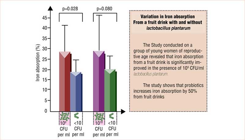 Iron Absorption