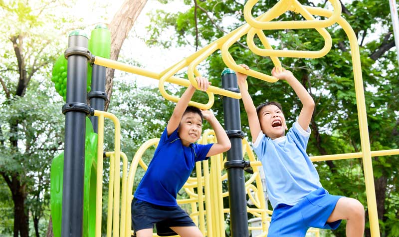 Playground Jungle Gym