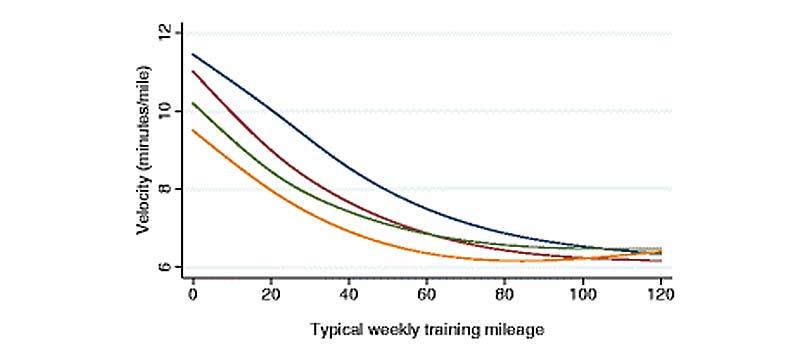 Race Velocity