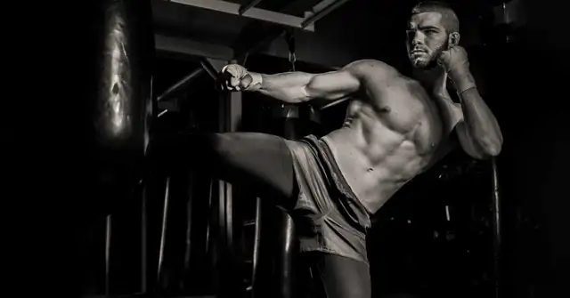 MMA Training|Energy System Chart|MMA Training Schedule