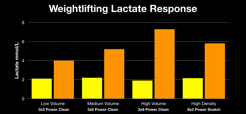 Lactate Power