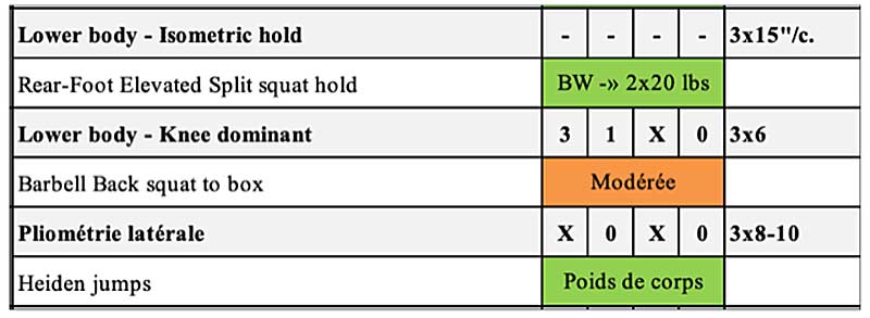 Lower Body Complex