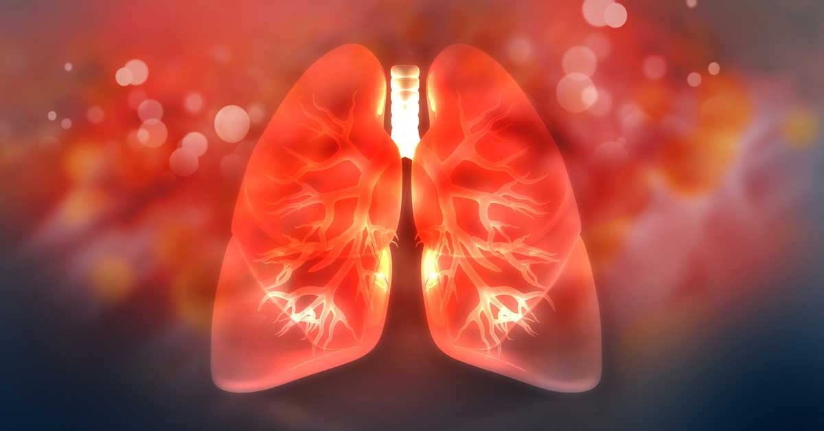 Lungs|Capillaries|Key Respiratory Muscles|Airofit|Bent Over Tired|VO2 Master