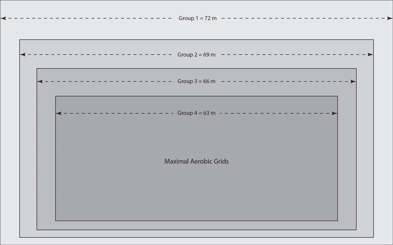 Maximal Aerobic Grid