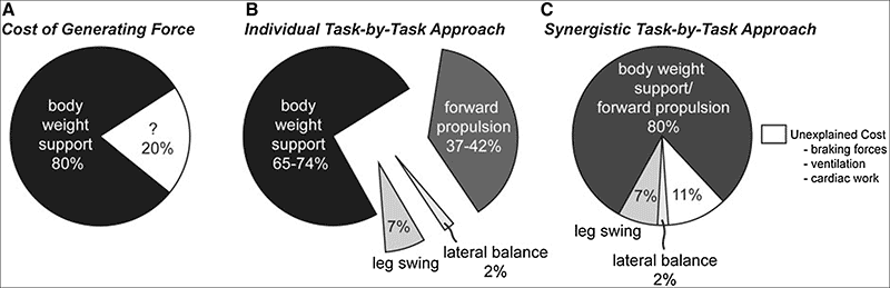 Metabolic Cost of Running Force Production