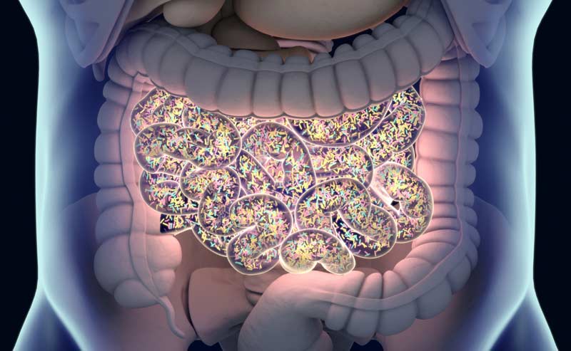 Microbiome