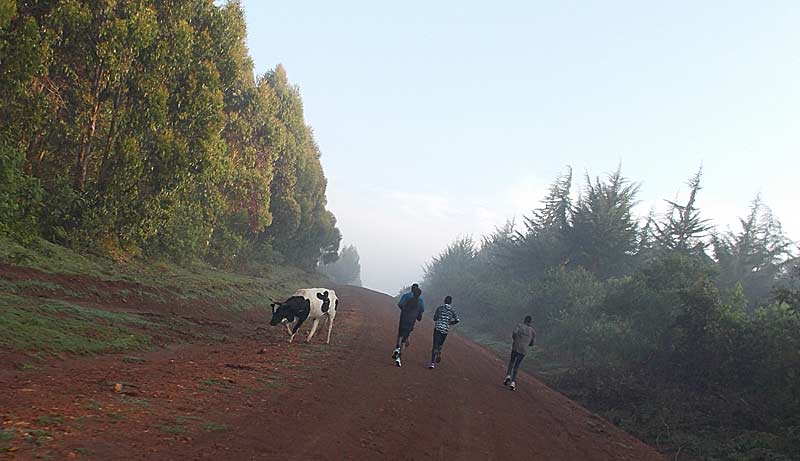 Morning Training