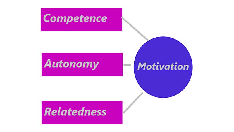 Motivation Factors