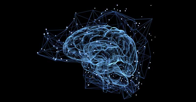 Motor Learning|Central Nervous System|CNS Study|Basal BDNF Levels in Sprinters|Nerves