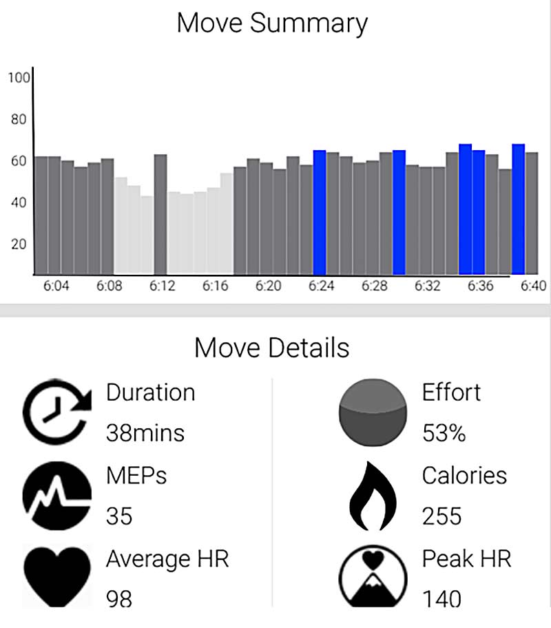 Movement Summary