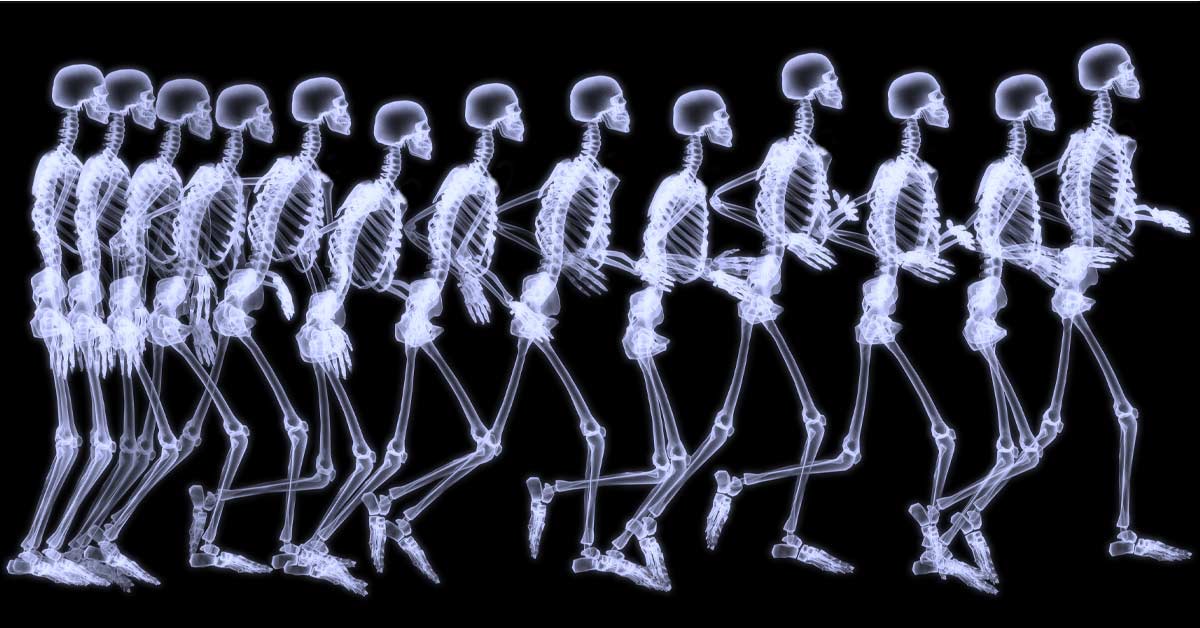 Movement Variability