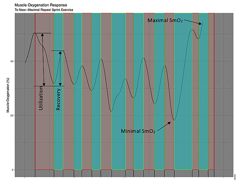 Muscle-Oxygenization-Response