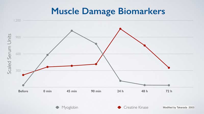 Muscle Damage