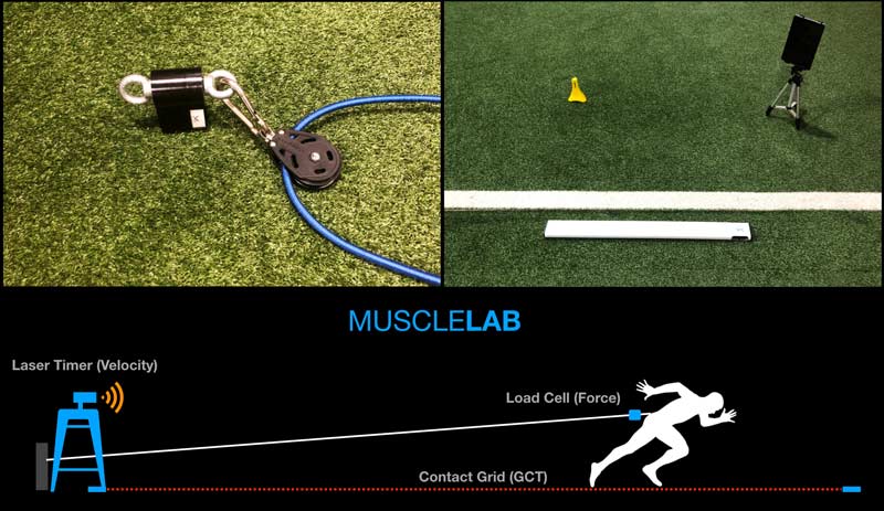 Muscle Lab