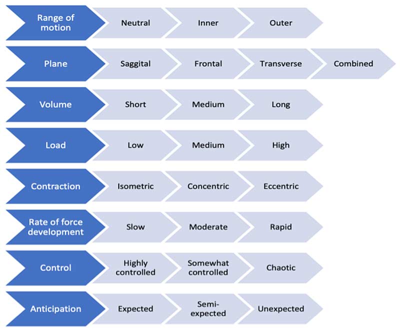 Neck Pathway Model
