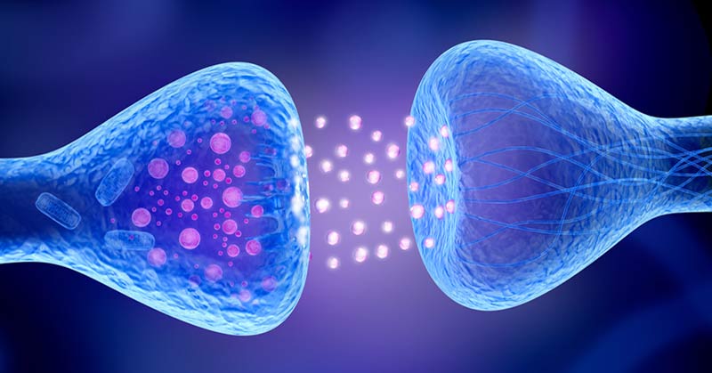 Nervous System and EMS|Three Brands of EMS|Compex Wireless EMS|Travel EMS|A person wearing blue shorts is on a couch with multiple electrode pads attached to their thighs. The pads are connected by black wires