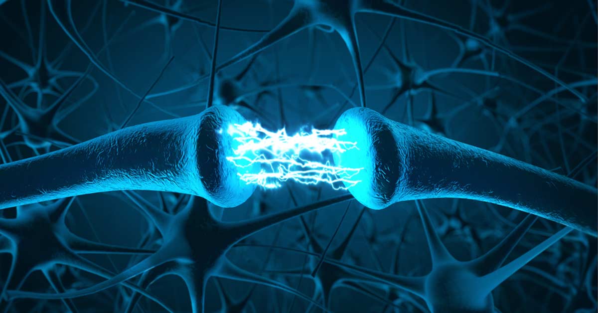 Neuromuscular Connections|Neuromuscular Adaptation|Dopamine Neurotransmitters|IGF-1 Infographic|Mitochondria Burst|Muscle Length|Muscle Synchro|Cytokine|Brain Drugs|Illustration of neurotransmission showing two neuron synapses connecting