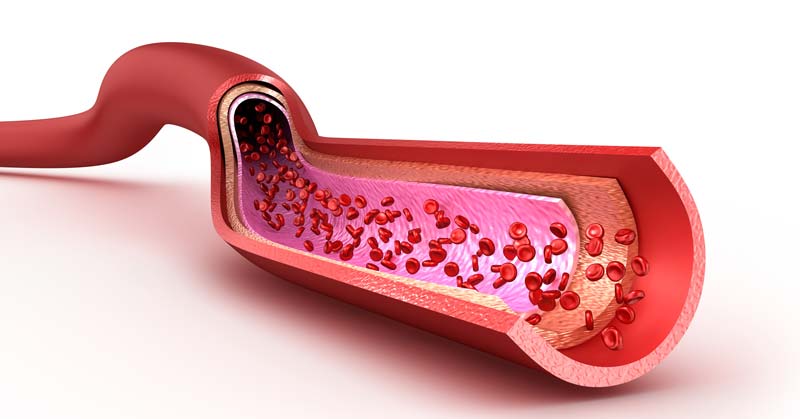 Nitrate and Athlete Performance|Beet Elite|Berkeley Test|Beetroot|Watermelon