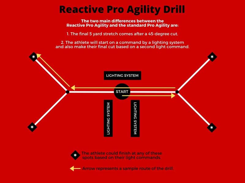 Ochoa Pro Agility