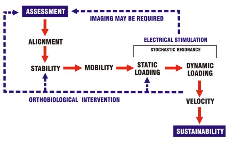 Orthobiologic Intervention