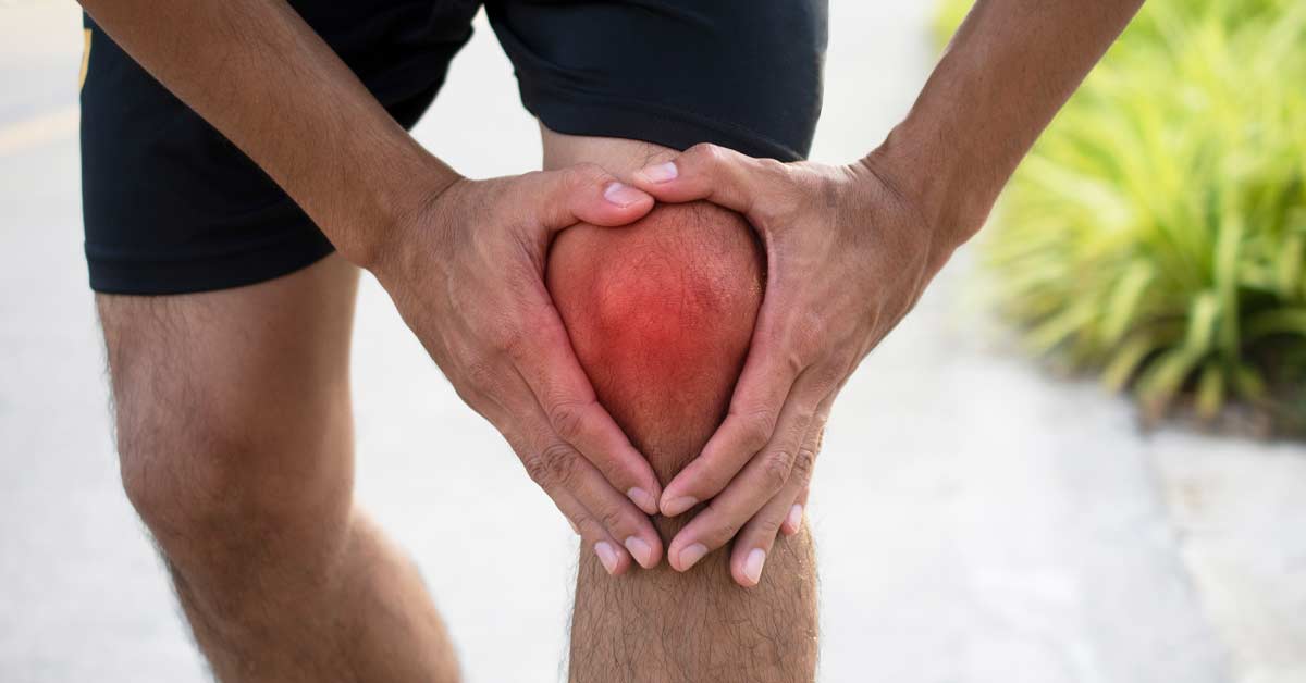 Patella Injury Rehab|Tendon Figure|Knee Anatomy